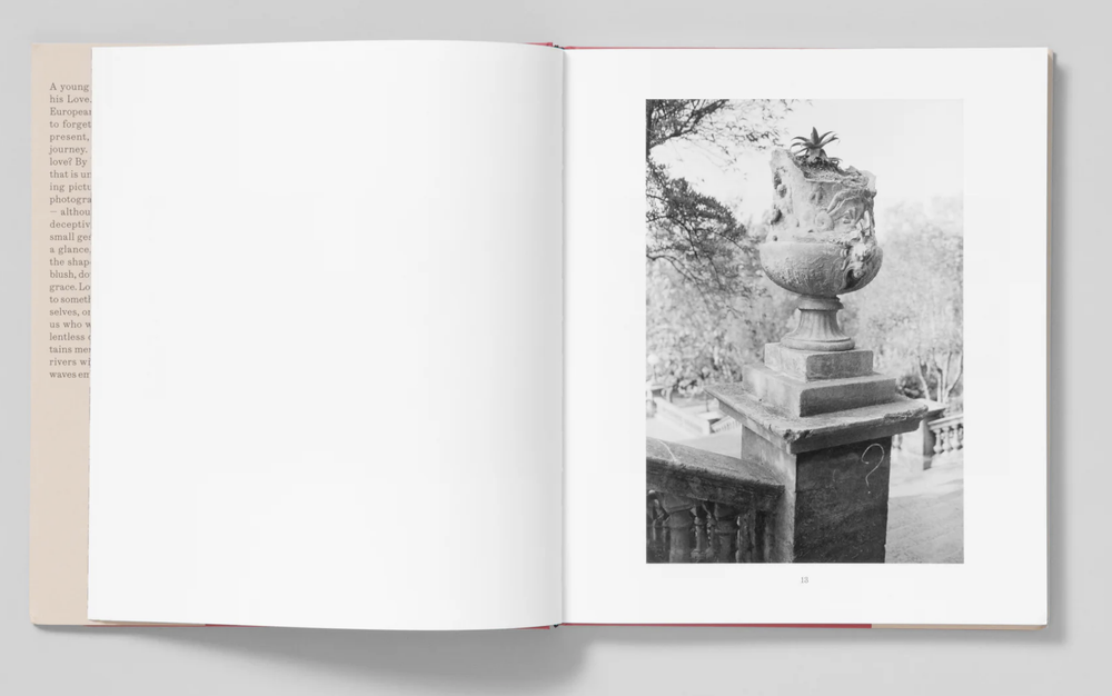 Love's Labour — Sergio Purtell